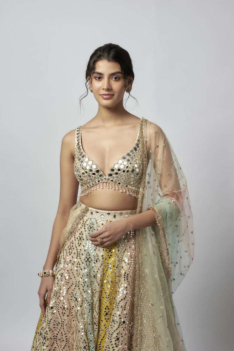 Ranjeeta Lehenga Set
