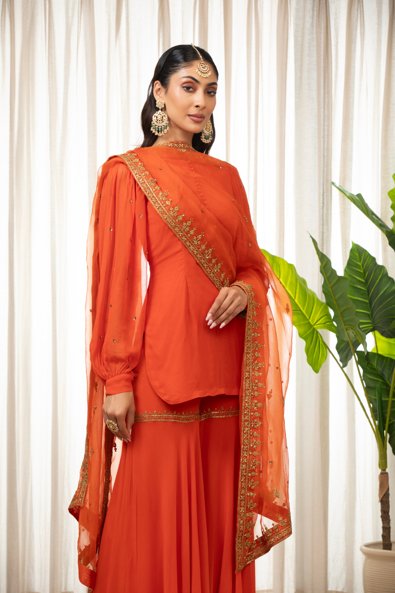 Rust Dilkash Kurta Set