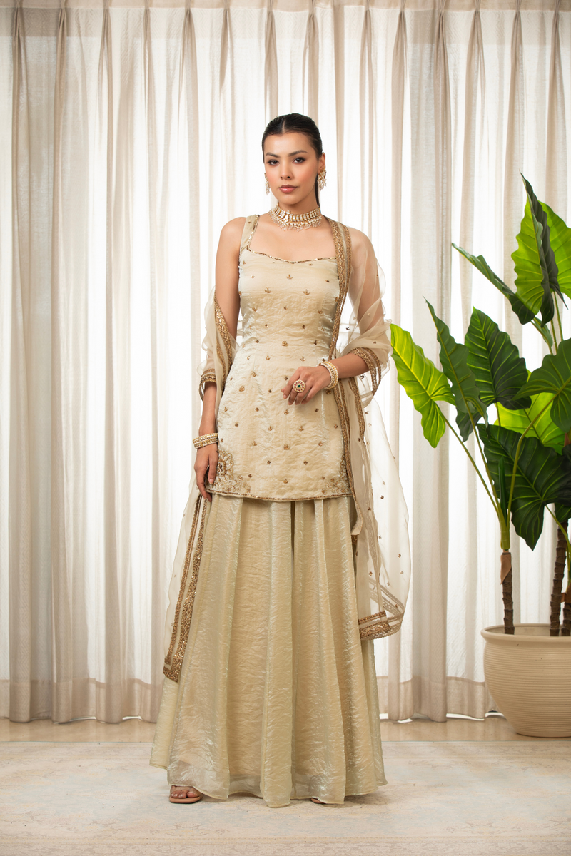 Jasmine Creamish Sharara Set