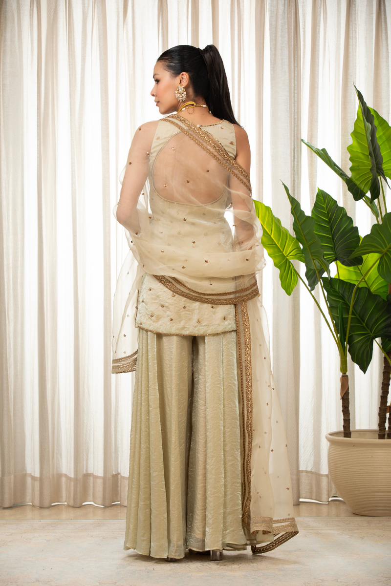 Jasmine Creamish Sharara Set