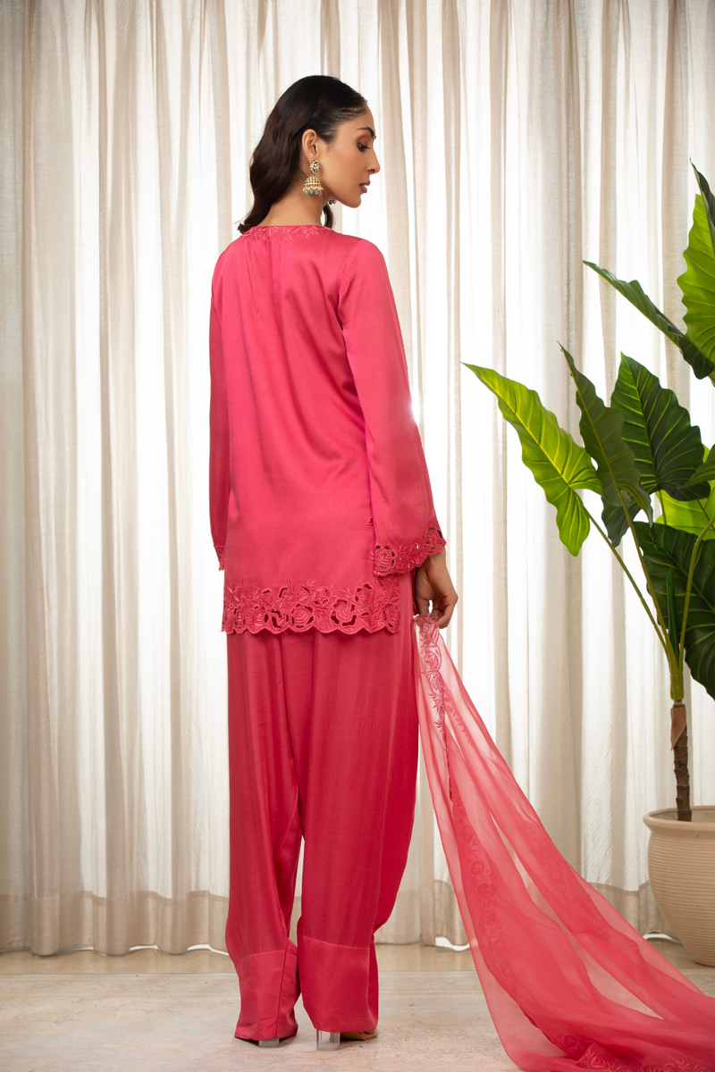 Kashmiri Pink Richa Set