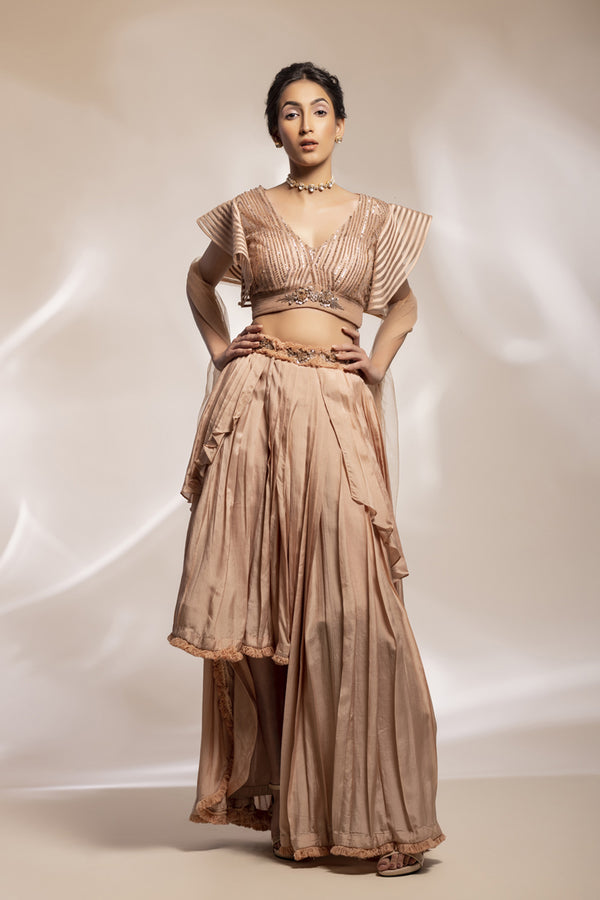 Champaign Silk Pleated Skirt Ensemble With Embroidered
