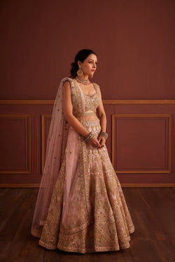 Pink Cutdana & Dabka Embellished Lehenga