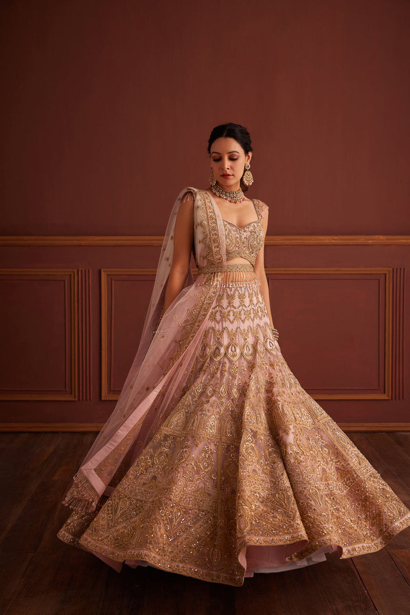Pink Cutdana & Dabka Embellished Lehenga