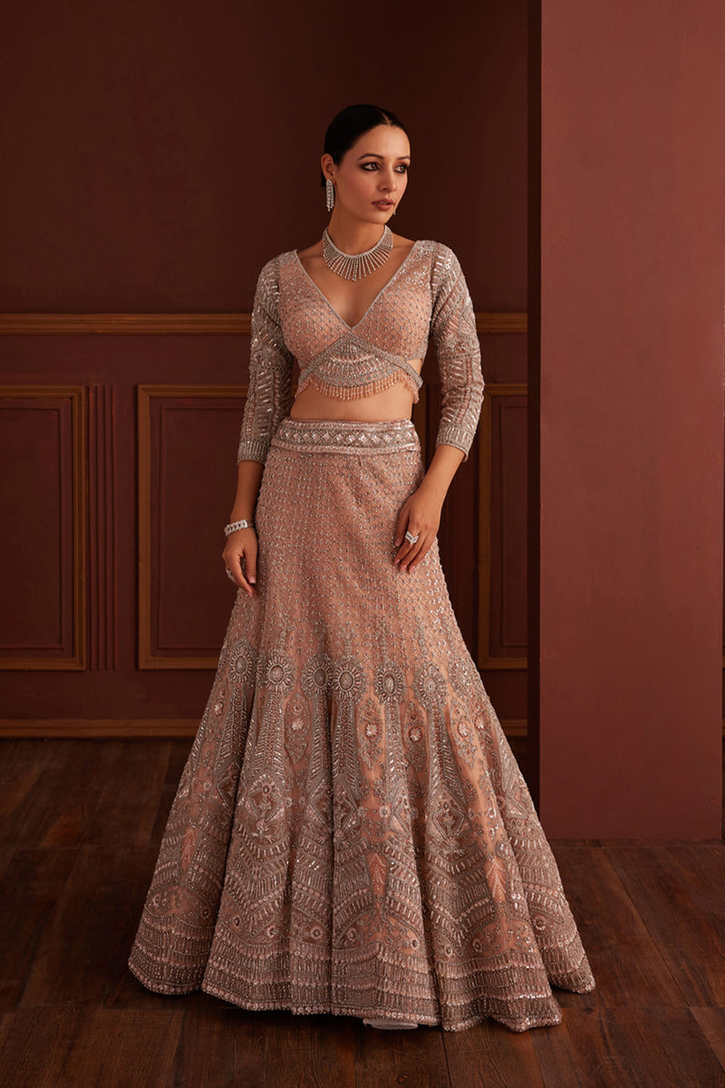 Nude Pink Embellished Mermaid Lehenga