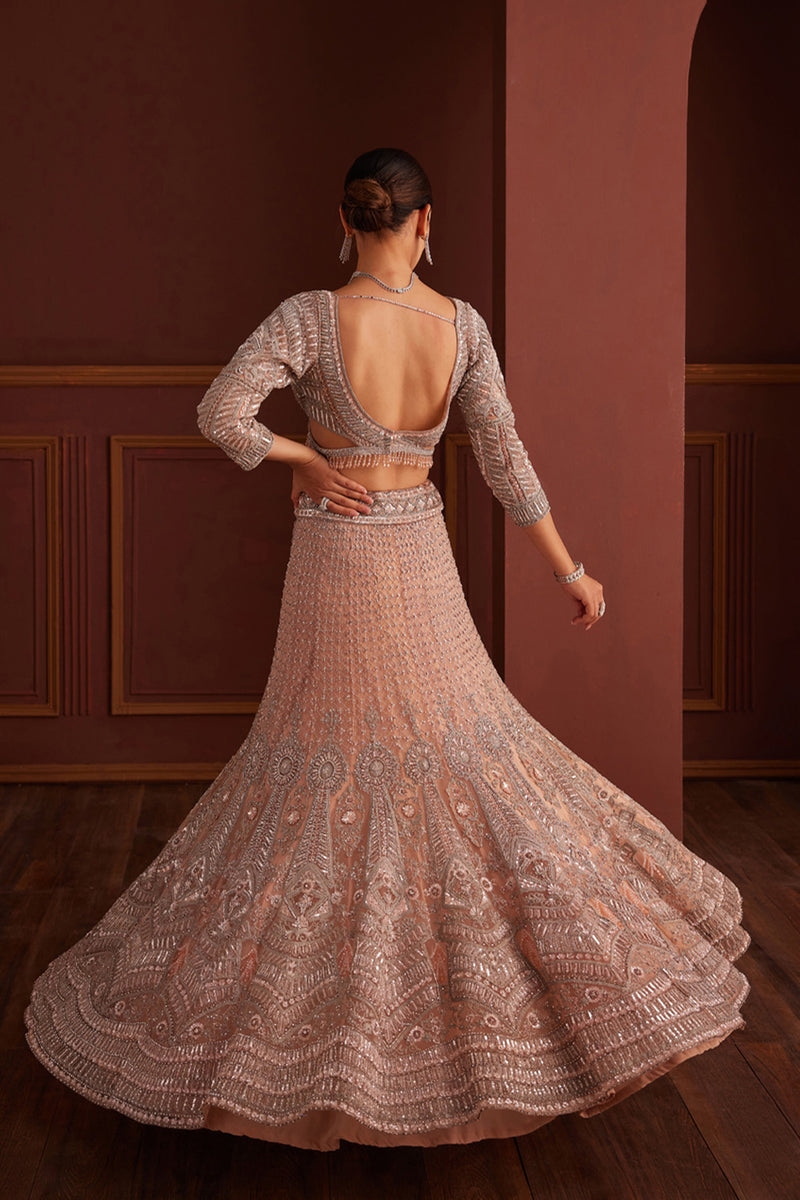 Nude Pink Embellished Mermaid Lehenga