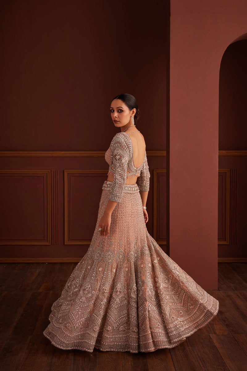 Nude Pink Embellished Mermaid Lehenga