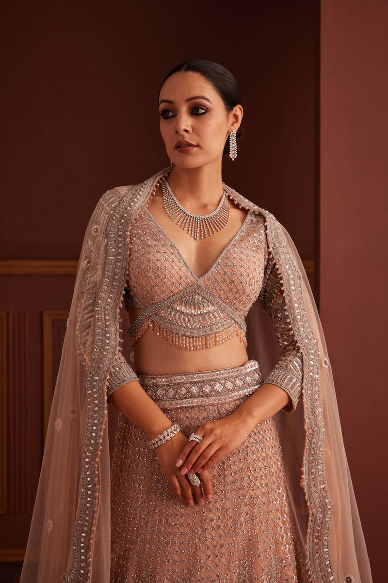 Nude Pink Embellished Mermaid Lehenga