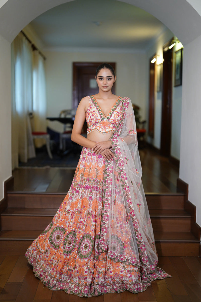 Multi-Coloured Resham Dori Lehenga