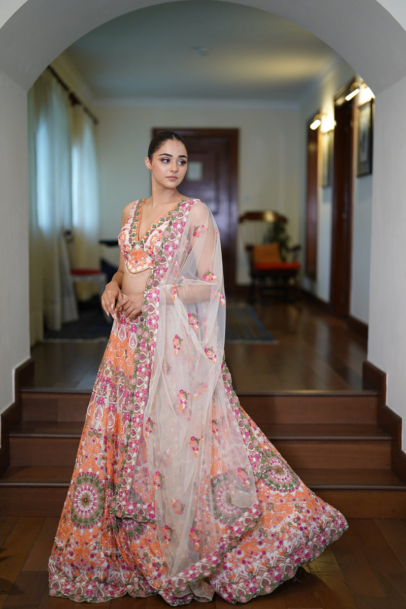 Multi-Coloured Resham Dori Lehenga