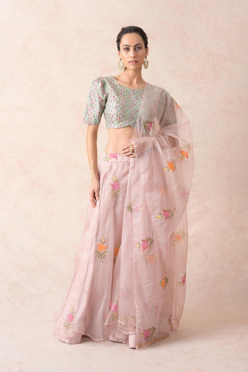 Embroidered Blouse With Organza Lehenga, Dupatta