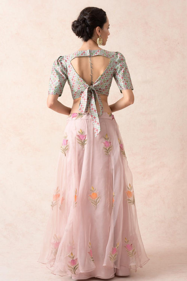 Embroidered Blouse With Organza Lehenga, Dupatta