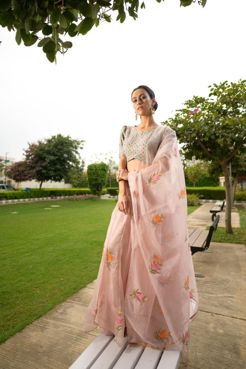 Embroidered Blouse With Organza Lehenga, Dupatta