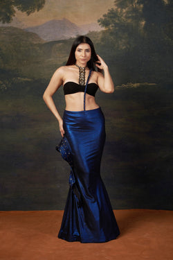 Embellished Saree gown with Heavy Swarovski Work