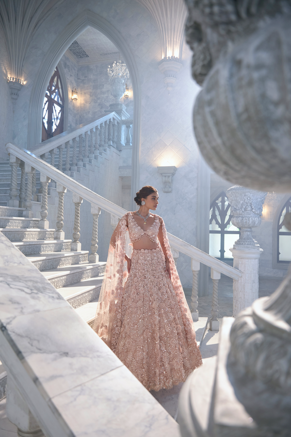 Powder Peach Cut Work Lehenga Set