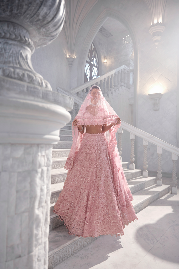 Pink Cut Work Lehenga Set