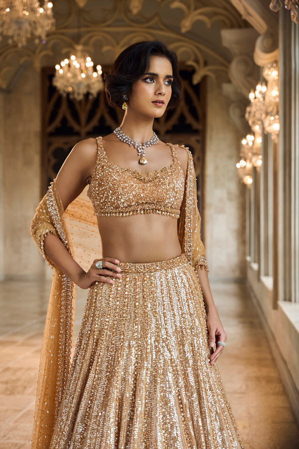 Copper Gold Crystal Lehenga Set