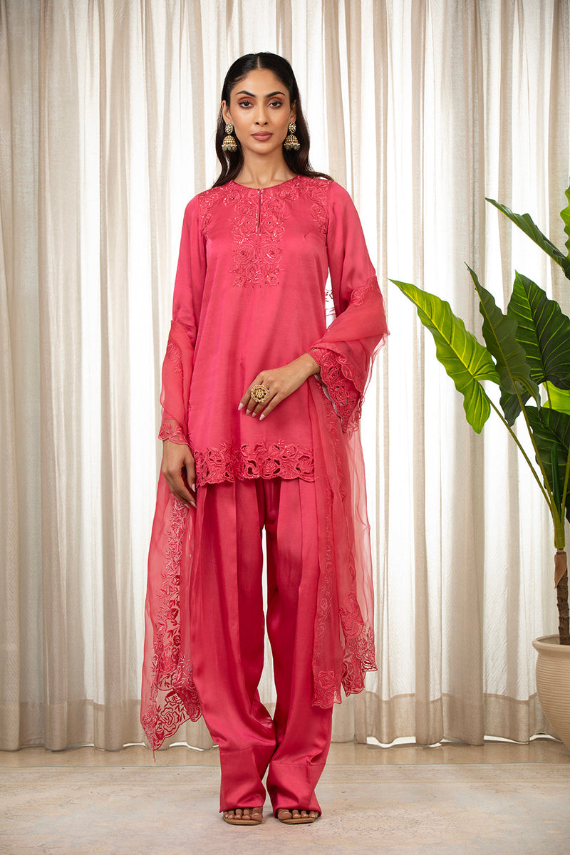 Kashmiri Pink Richa Set