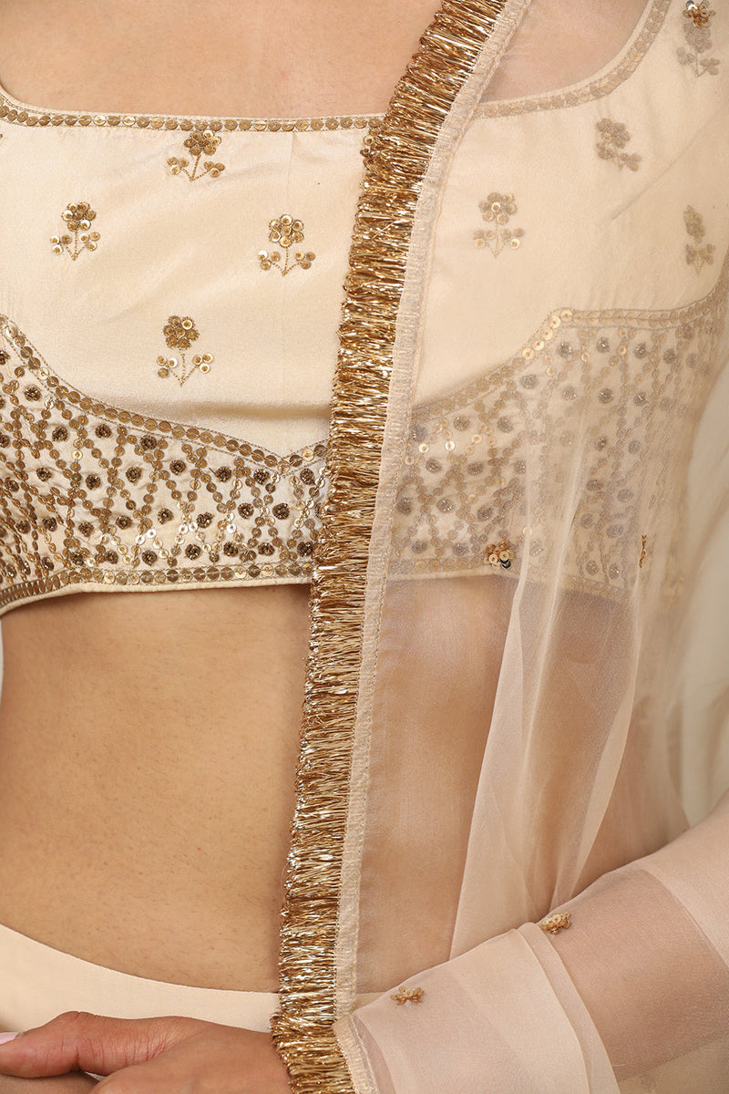 Cream Lehenga Set