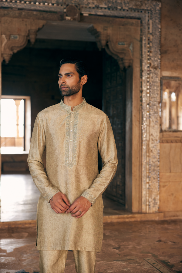 Hiranmay Printed Silk Kurta - Sage