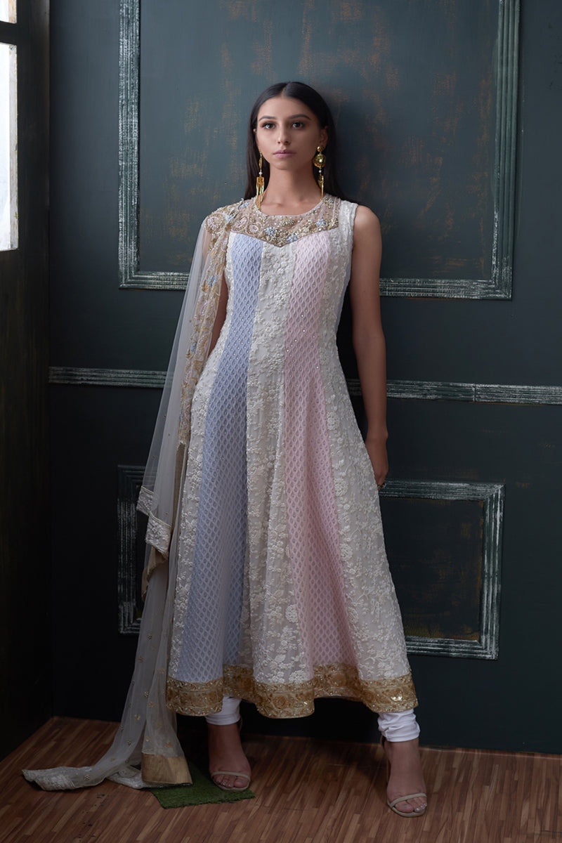 Chikankari Anarkali with Blue and pink shading