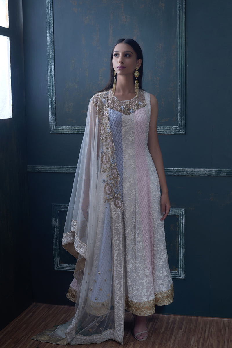 Chikankari Anarkali with Blue and pink shading