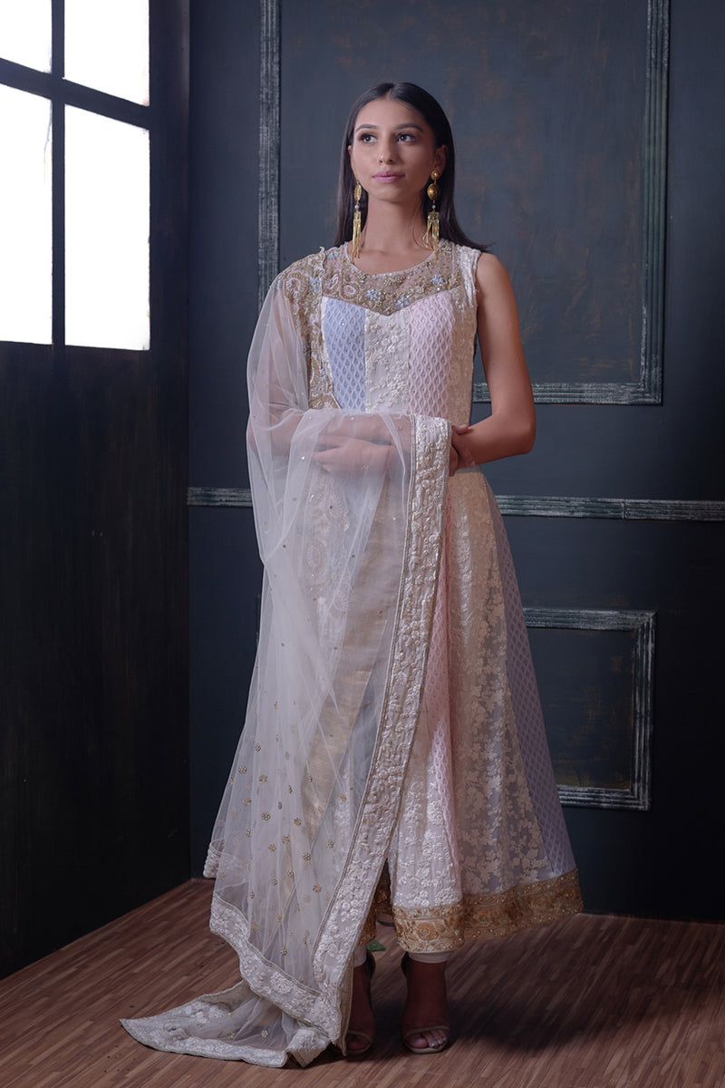 Chikankari Anarkali with Blue and pink shading