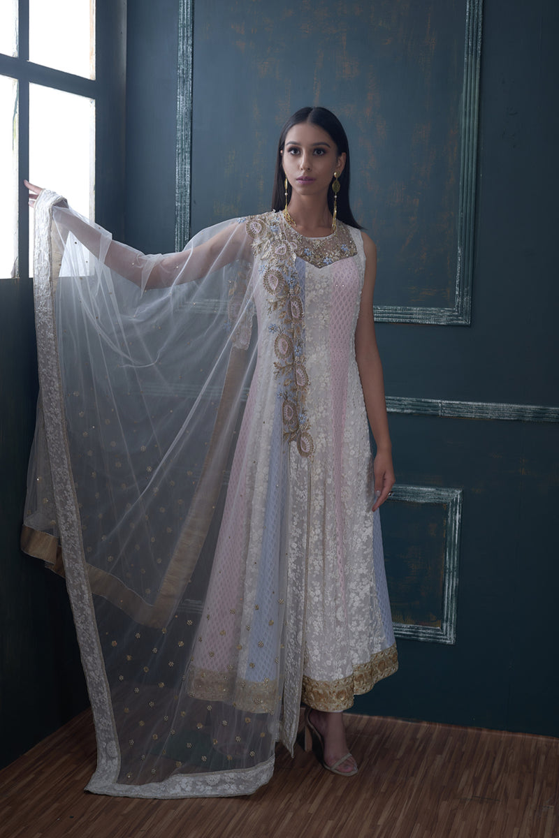 Chikankari Anarkali with Blue and pink shading