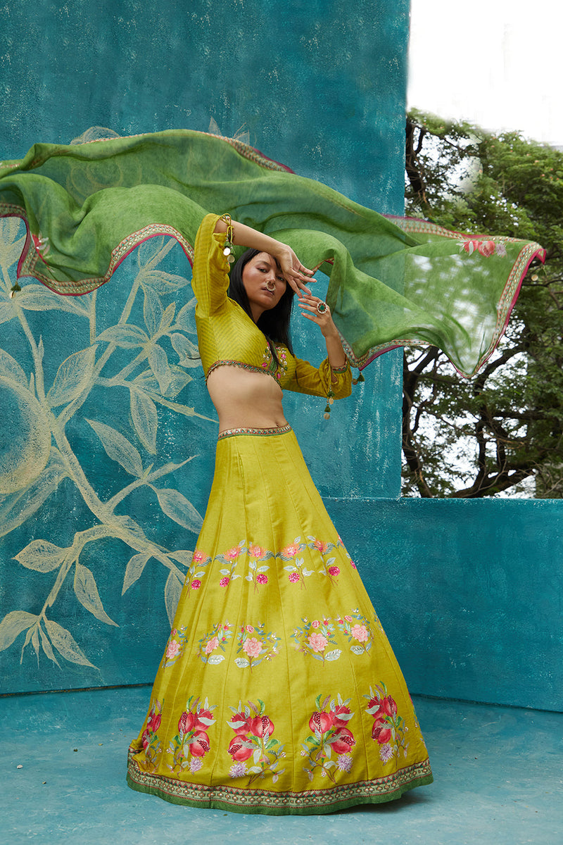 Yellow  printed lehenga set ornamented with embroidery neckline ,chiffon sleeves and printed organza dupatta