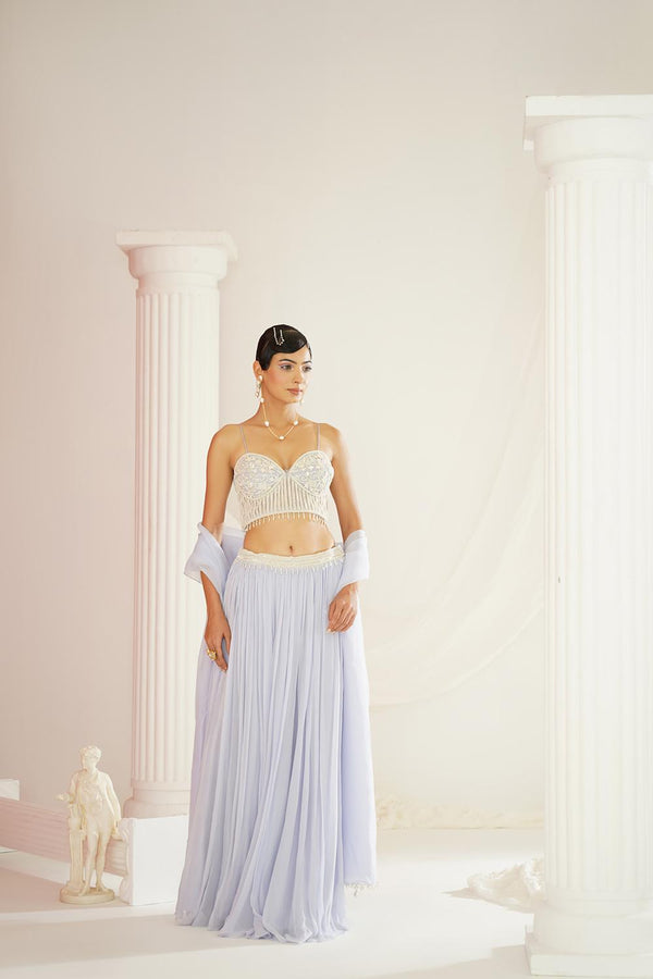 Powder Blue Embroidered Lehenga Set