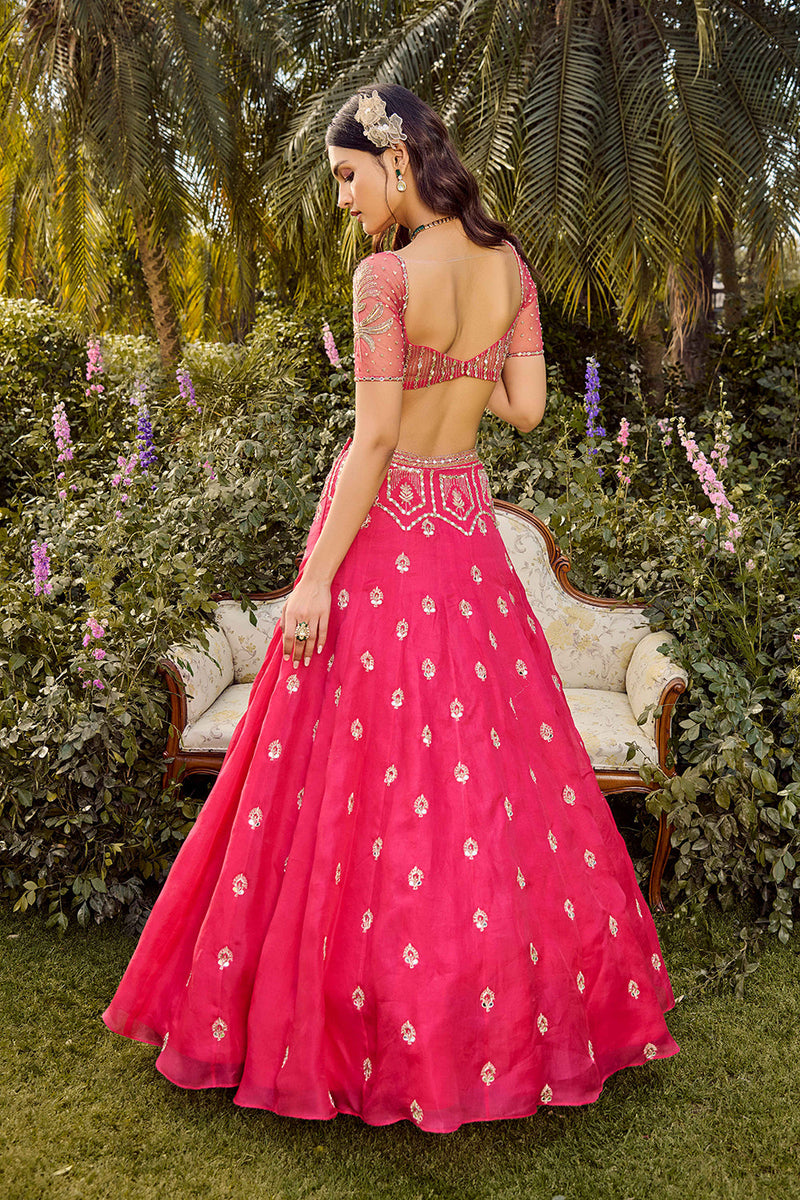 Pink Mirage Lehenga Set
