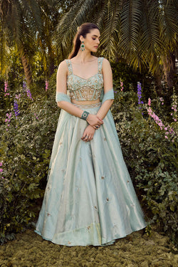 Soft Haze Lehenga Set