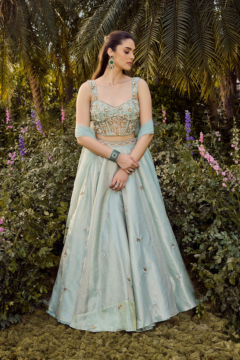 Soft Haze Lehenga Set