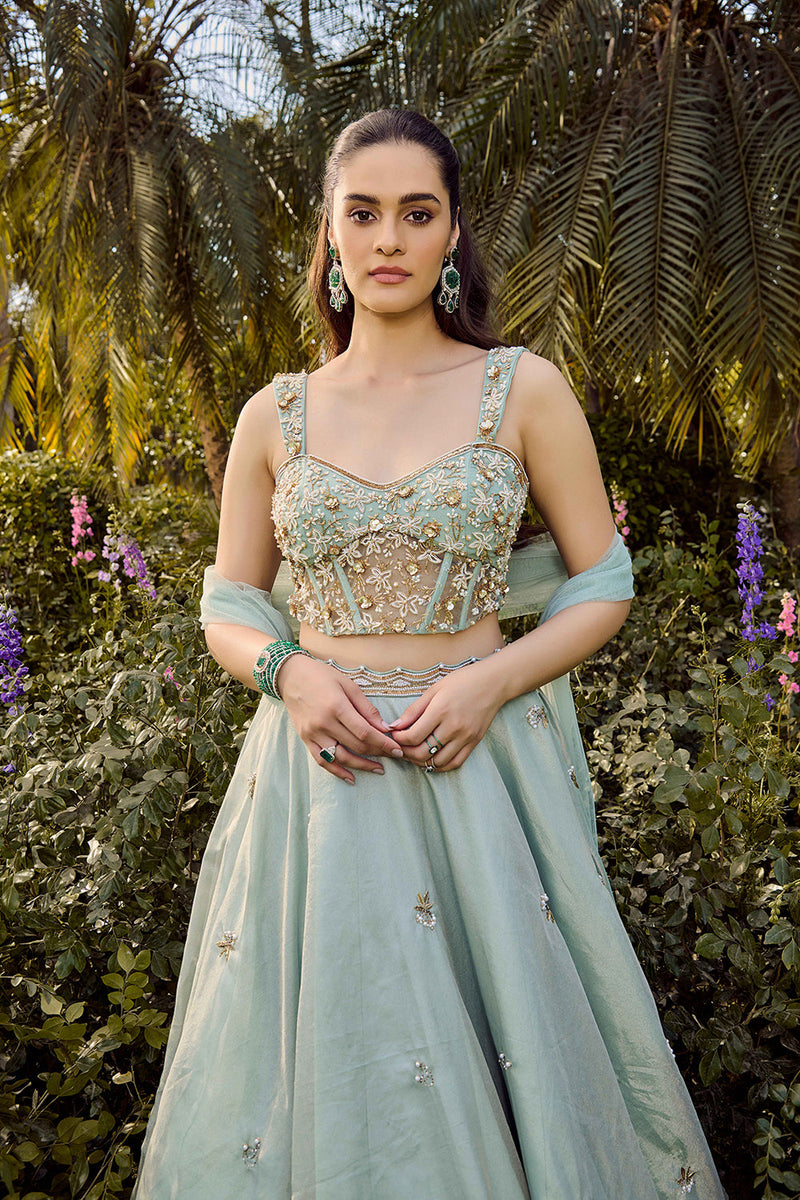 Soft Haze Lehenga Set