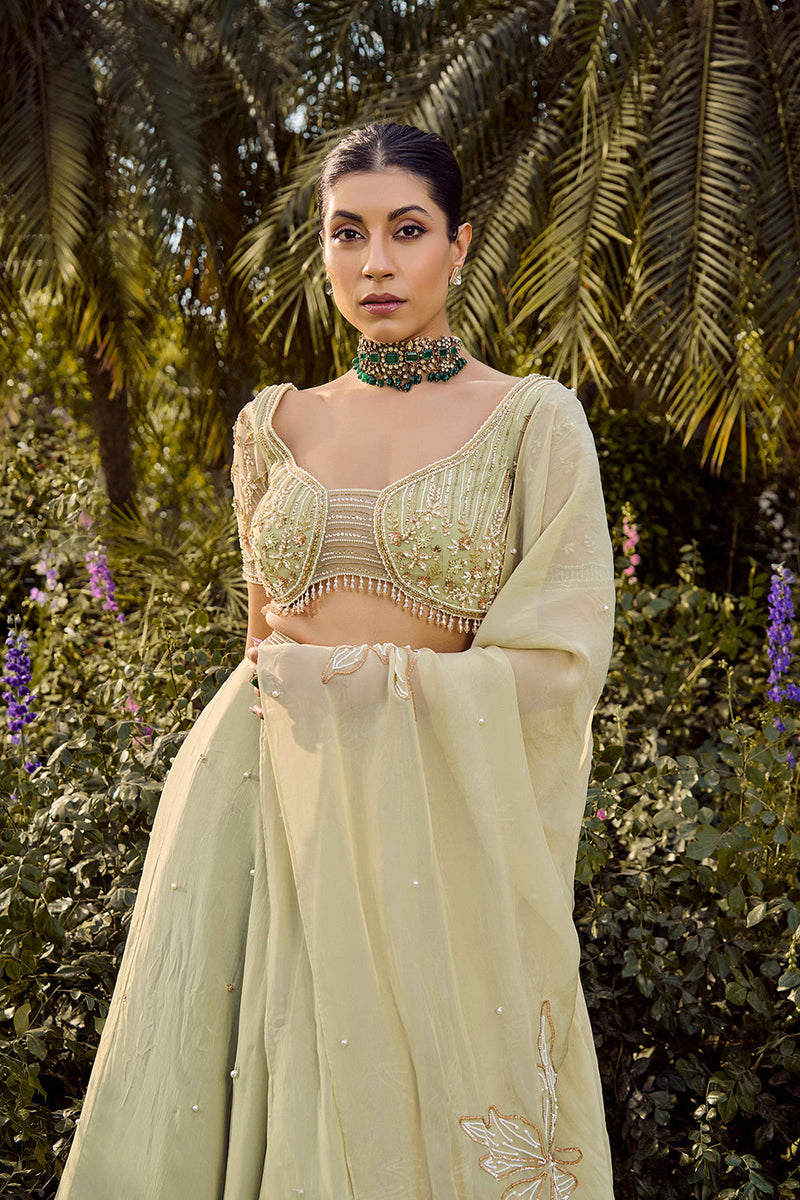 Mistara Lehenga Set