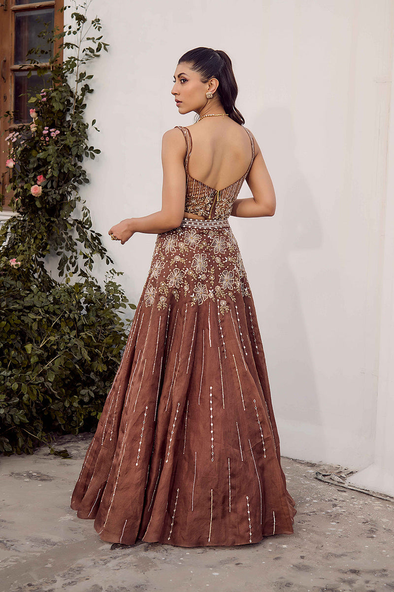 Dust Allure Lehenga Set