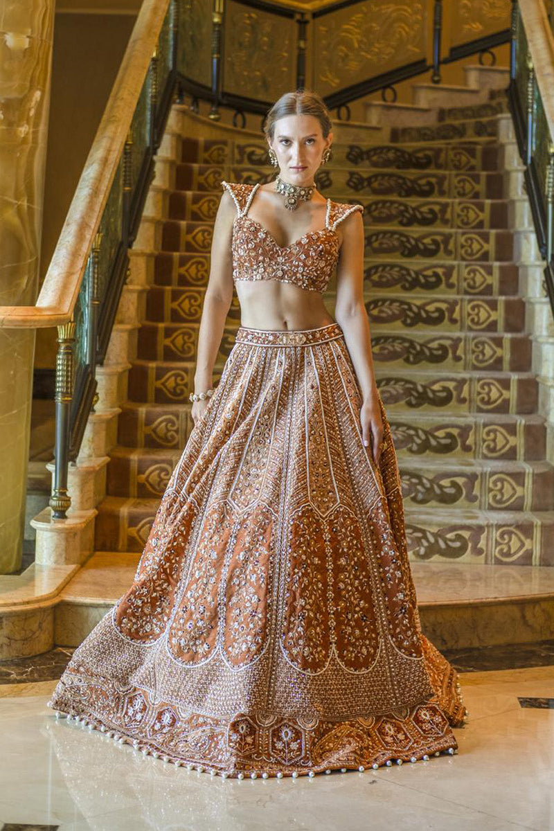 Rustic Elegence Lehenga Set
