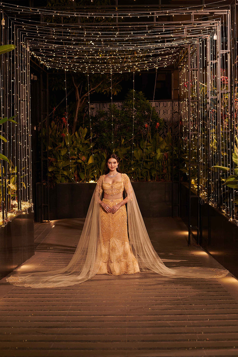 Champagne Shower Lehenga Set