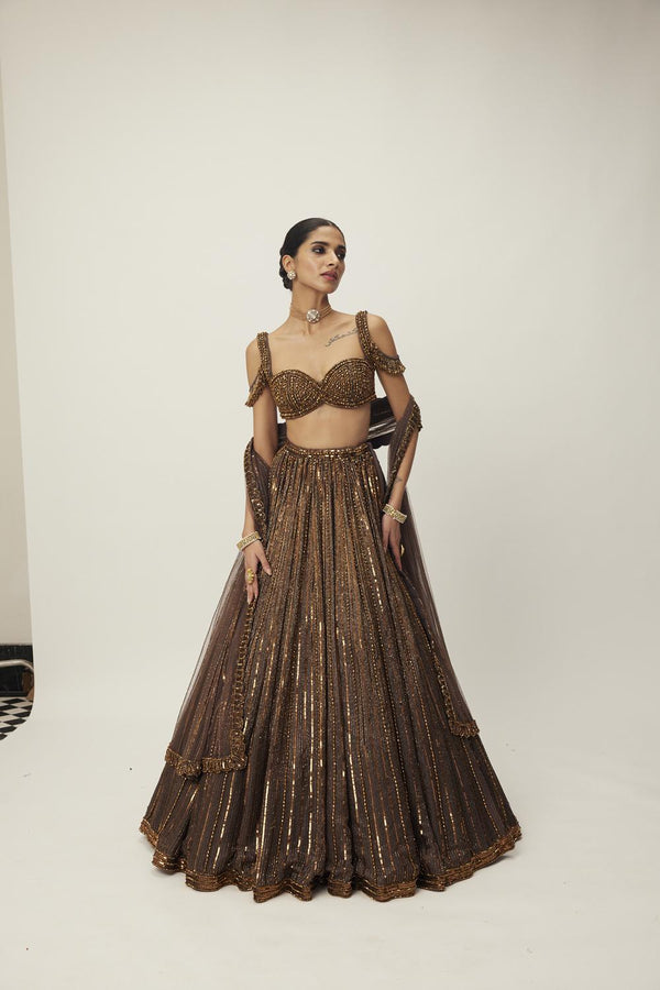Copper Crystal Linear Embroidered Lehenga Set