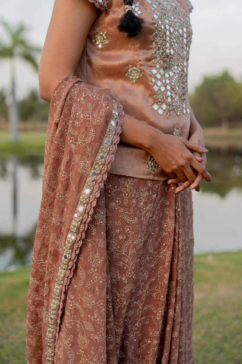 Kurti Sari