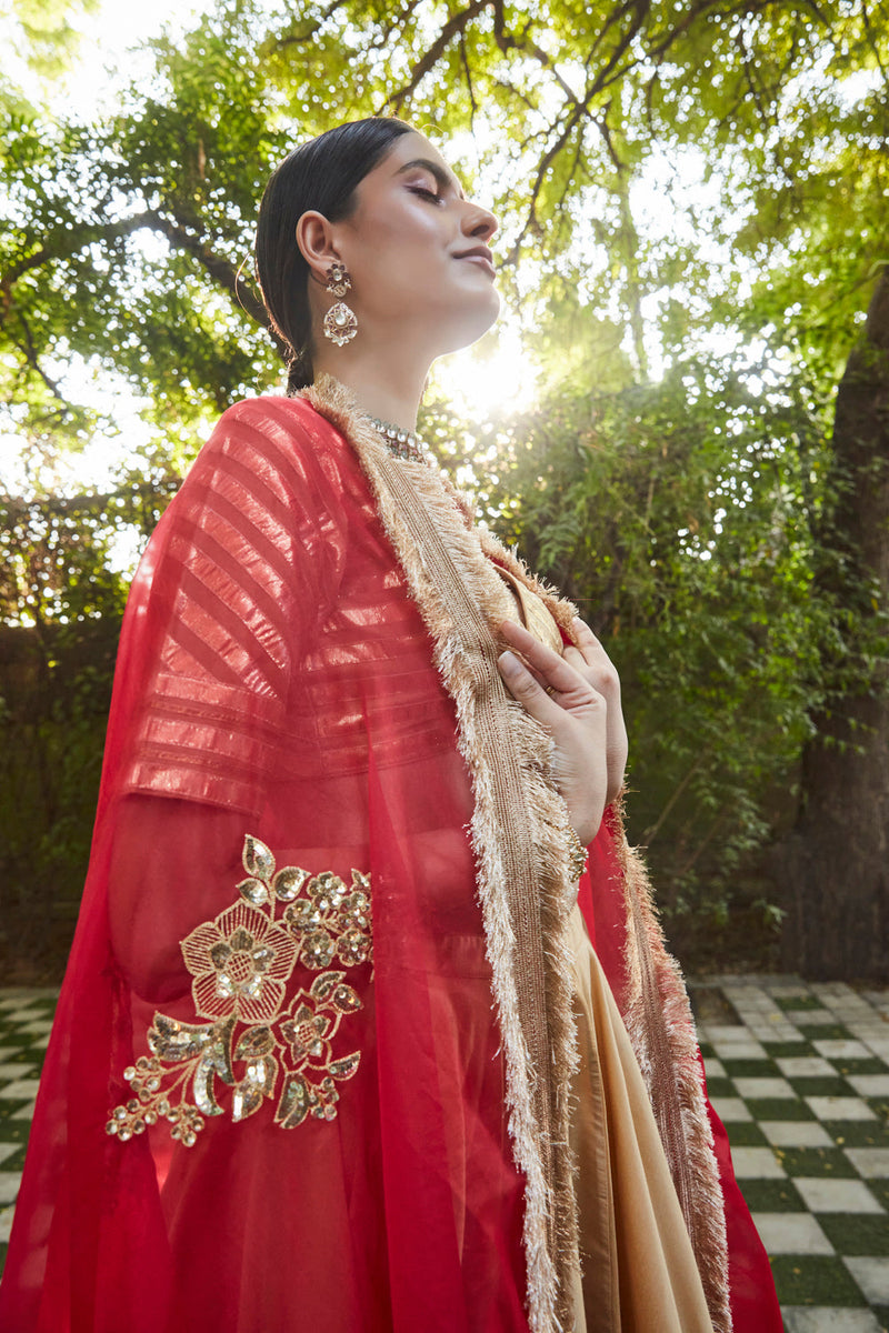 Gold, Red Lehenga