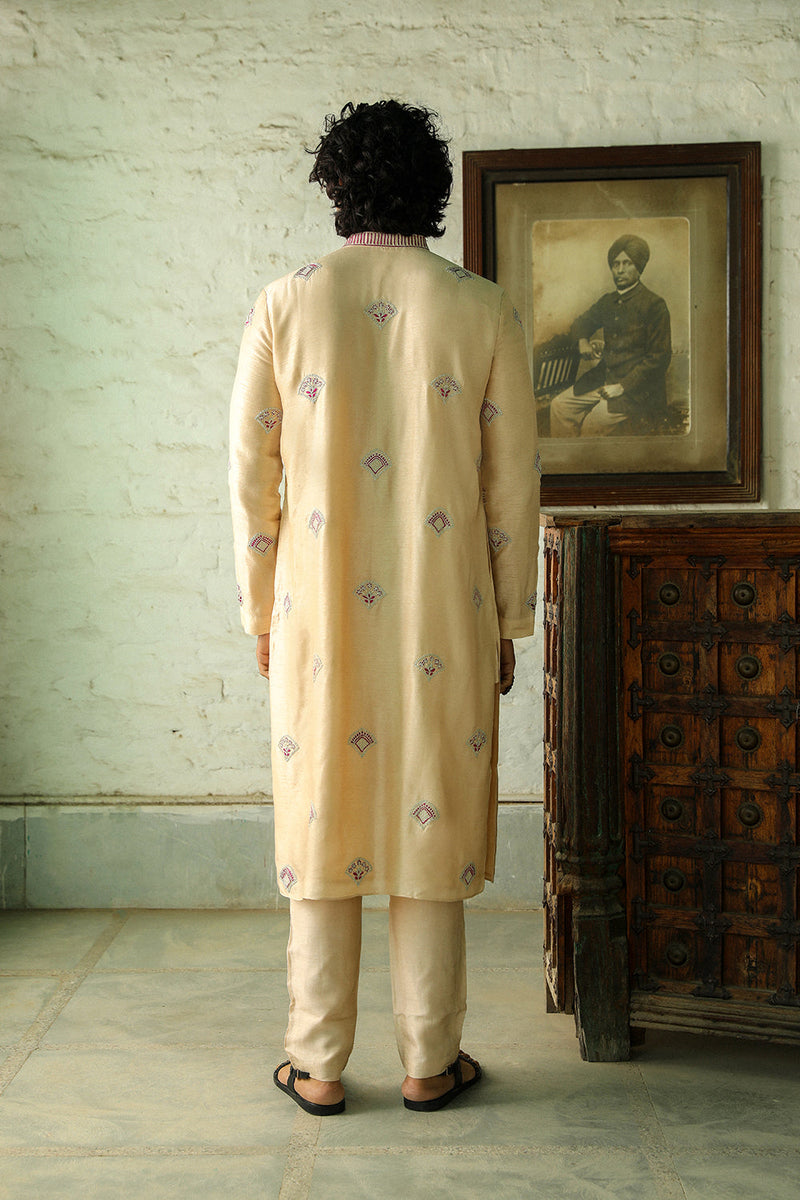 Adil Kurta Set