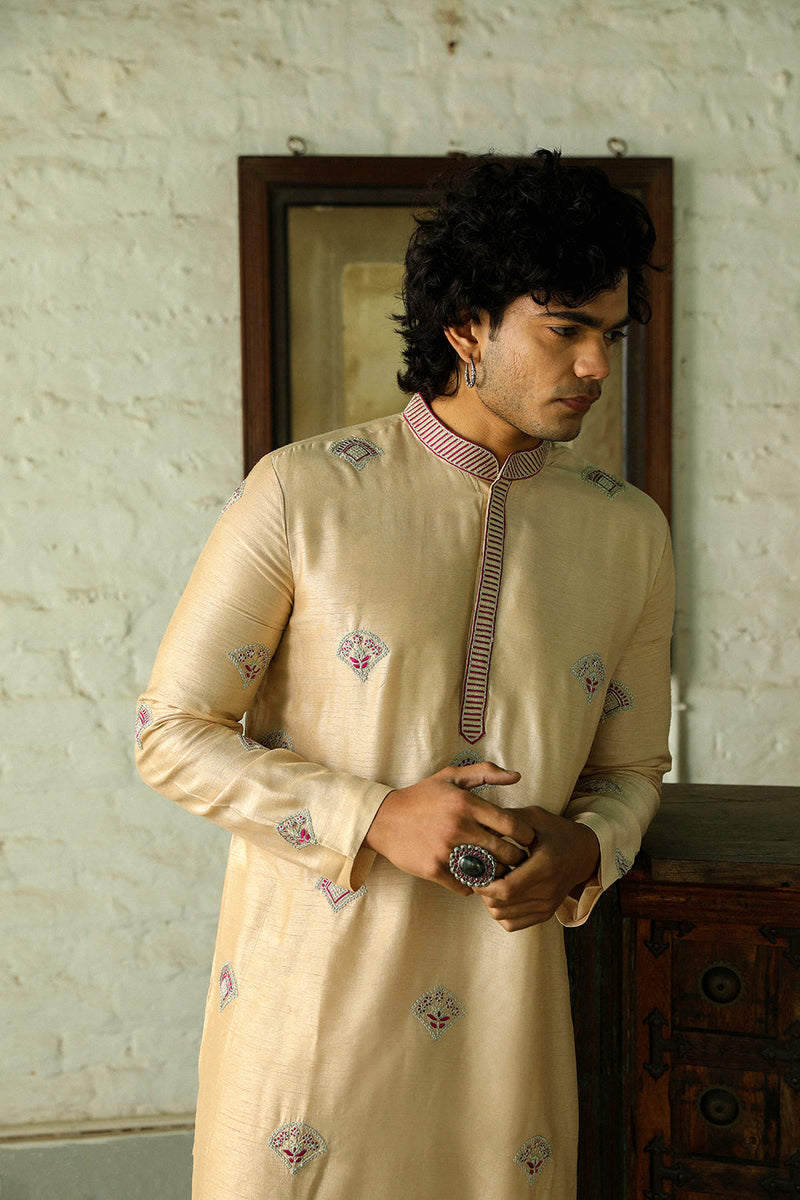 Adil Kurta Set