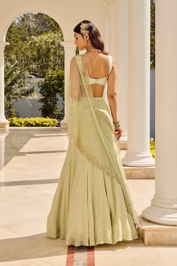 Soft Sage Saree