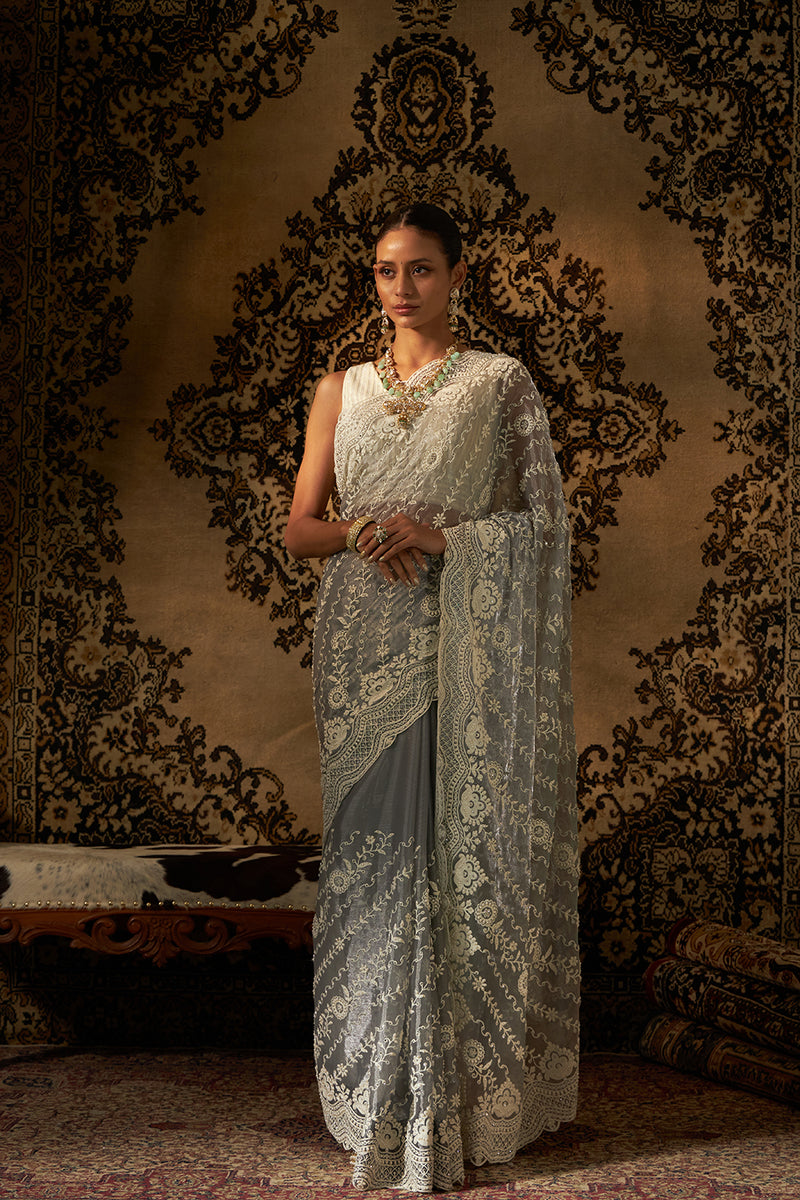 Net With Pearl Work Saree