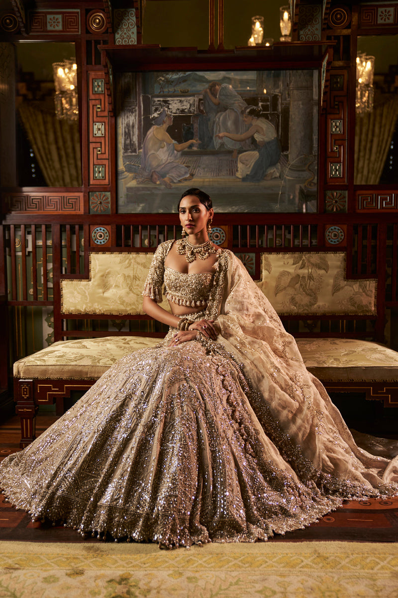 Gold Silver Tissue Lehenga Set