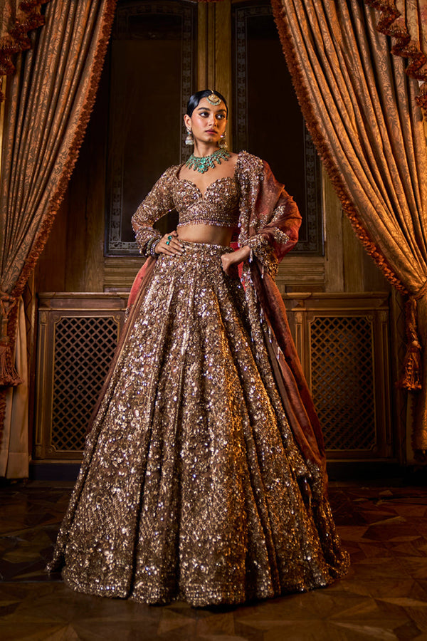Bronze Tissue Lehenga Set