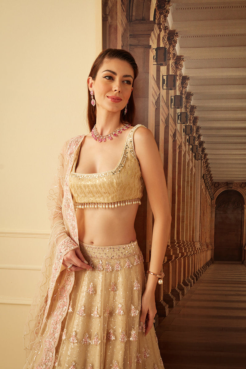 Gold Sequins Lehnga And