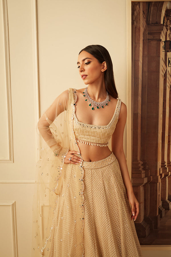 Gold Thread Work Lehnga With Sequins Detailing All Over Paired With Thread And Moirror Work Blouse  And Net Dupatta