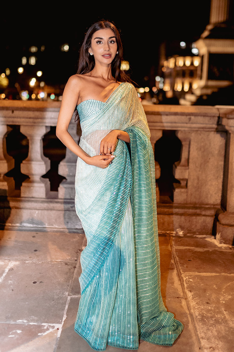 Sage green handloon organza saree